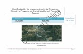 MIA El Órgano Resumen Ejecutivo - Gobsinat.semarnat.gob.mx/.../resumenes/2010/12GE2010V0042.pdf · 2014-02-13 · II.1.1 Naturaleza del proyecto Se pretende construir un puente para