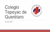 Colegio Tepeyac de Querétaro - Conexiones DGIREconexiones.dgire.unam.mx/wp-content/uploads/2017/...El trabajo interdisciplinario es importante en la medida en que permite que los