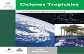 Ciclones Tropicalesescuelanacionaldeproteccioncivil.mx/biblioteca-virtual/... · 2020-03-11 · Efecto del fenómeno de El Niño en los ciclones tropicales 13 Efectos de los Ciclones