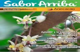 Una publicación de Anecacaoanecacao.com/uploads/magazine/revista-sabor-arriba-11... · 2017-03-30 · Derecho Agrario L a Unión Mundial de Agraristas Universitarios es una asocia-ción