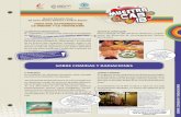sobre comidas y radiaciones 2018 - Argentina · En Argentina este tratamiento de alimentos se realiza en la Planta de Irradiación Semi Industrial (PISI), de la Comisión Nacional