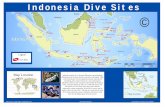 Indonesia Dive Sites · 2016-02-25 · Satonda Island Tanjung Putih Sipadan Derawan Samama Maratua Kakaban Sangaalaki Manado Bunaken Siau & Sangihe Bangka Lembeh Strait Togian B an