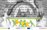 PRESENTACIÓN DE PROPUESTAS PARA PROMOVER LA INTEGRACIÓN COOPERATIVA COMO … · 2018-10-26 · presentaciÓn de propuestas para promover la integraciÓn cooperativa como polÍtica