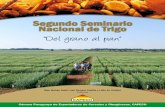 Segundo Seminario Nacional de Trigo · Los agro negocios del sector cereales y oleaginosas (Sistema Soja - Trigo - Maíz - Girasol), representan 81% del PIB agrícola y el 55% del