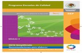 Alianza por la Calidad de la Educaciónbibliotecadigital.tamaulipas.gob.mx/archivos/... · El PETE Simplificado: Recomendaciones para elaborar el Plan Estratégico de Transformación