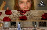 Coronilla Wake Up - eukmamie.org · por los cristianos perseguidos #Wakeﻥp Se reza el Ave María: Dios te salve María, llena eres de gracia, el Señor es contigo, bendita eres