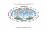 Plan de Comunicación EPSbiblioteca.usac.edu.gt/EPS/16/16_0139.pdf · 2016-06-08 · universidad de san carlos de guatemala escuela de ciencias de la comunicaciÓn ejercicio profesional