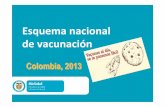 Esquema nacional de vacunación de...Esquema nacional de vacunación Colombia, 2013 Completar la transición de la inmunización de los niños, a la inmunización de la familia. Definiciones