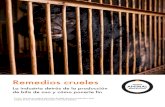 Cruel cures - Bear Bile Report-A4-2020.04.01-SPA · animales, sino que también pone a cada persona en el planeta en riesgo de contraer enfermedades zoonóticas que se originan en