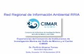 Red Regional de Información Ambiental RRIAmaetransparente.ambiente.gob.ec/documentacion/DISE... · Quito, Ecuador 14-16 Noviembre 2018. CONTENIDO 1.ONU Conferencia de Océanos ...