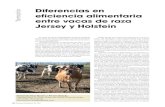 Diferencias en o eficiencia alimentaria entre vacas de raza Jersey … Vs... · 2013-11-06 · o Diferencias en eficiencia alimentaria entre vacas de raza Jersey y Holstein En Julio