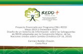 Proyecto financiado por Programa ONU-REDD Mayo 2013 a ... · Carmen Roldán Chacón Costa Rica . Cooperantes en el proceso de Preparación de REDD FCPF Implementación R-PP REDD Secretaría