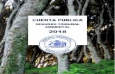 CUENTA PÚBLICA - Tribunal Ambiental€¦ · cuenta anual y pública sobre el funcionamiento del Tribunal Ambiental de Santiago. El presente documento contiene “información precisa