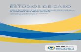 ESTUDIOS DE CASO - WWPwwp.org.br/wp-content/uploads/2016/10/ESTUDIO-DE... · Este estudio de caso es parte de una série de estudios de la Iniciativa Brasileña de Aprendizaje por