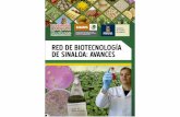 Red de Biotecnología€¦ · Biotecnología de Sinaloa, con las principales instituciones de investigación del estado. Después de seis reuniones, se logró la integración de 81