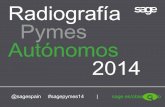 Madrid, 18 de septiembre de 2014 Pymes Autónomos 2014 · Los mismos factores para Autónomos y Pymes Falta de financiación Incertidumbre sobre el futuro autónomos pymes autónomos