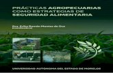Prácticas agropecuarias como estrategias de seguridad ...investigacion.uaem.mx/archivos/epub/practicas... · 7 Introducción disponibilidad de los mismos continúa incrementando