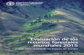 Evaluación de los recursos forestales mundiales 2015...ejemplos de avances logrados en todas las regiones del globo. No obstante, esta tendencia favorable necesita aún ser reforzada,