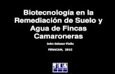 Biotecnología en la Remediación de Suelo y Agua de Fincas … · 2013-11-08 · MANTENER EL EQUILIBRIO ECOLOGICO ENTRE MATERIALES VIVOS O MUERTOS EN EL SUELO Y AGUA INTERACCION