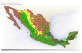Flash - biodiversidad.gob.mx · ECOSISTEMAS DE MÉXICO Extensión y distribución . rdida erioro Bosques templados Superficie (km2) conservado deteriorado Potencial 439,556 Actual