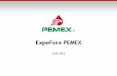 ExpoForo PEMEX Archivo… · petróleo y gas en el mundo. En México es el único productor de crudo, gas natural y productos petrolíferos, y representa la fuente más importante