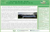 “IV Jornadas de Medios de Vida Sostenibles de los Bosques … · 2018-10-11 · “IV Jornadas de Medios de Vida Sostenibles de los Bosques Modelo del Nordeste Argentino” Las