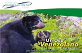 Venezolano€¦ · Oso pardo. Oso negro americano (Ursus americanus) Aunque su nombre común refiere a su pelaje de color negro, también los hay marrones, grisáceos y hasta blancos.