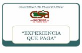 GOBIERNO DE PUERTO RICO - Pages - Home status planes... · 2012-12-12 · FileMaker en la CSA 2001 → Buscando eficiencia se decide mecanizar el proceso de Generación de Pólizas.