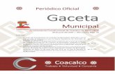 Periódico Oficial Gaceta · Zaragoza Esquinca, Secretario del Ayuntamiento, para dar la difusión del bando municipal, los reglamentos municipales, el presupuesto de egresos, los