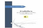 Nº 5 Primer trimestre 2016 - gabilex.castillalamancha.es · La Directiva 2014/23/UE del Parlamento Europeo y del Consejo, relativa a la adjudicación de contratos de concesión.