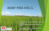 MEMBY PORÁ INTA CL - Proarrozproarroz.com.ar/static/presentaciones/inta-manejo-de... · 2018-09-11 · Color verde claro. ... Evaluamos la respuesta a la fertilización nitrogenada.