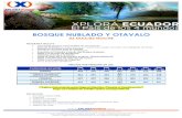 XPLORA BOSQUE NUBLADO Y OTAVALO 3D-2N · 2017-10-12 · BOSQUE NUBLADO Y OTAVALO 03 DIAS/02 NOCHE PROGRAMA INCLUYE: • Transporte privado para realizar las excursiones • DOS (2)