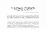 CARTAS DE UN CURA RURAL AL CABILDO CATEDRALICIO SEVILLANO A FINALES DEL …institucional.us.es/revistas/rasbl/21/art_10.pdf · 2015-02-06 · señores del cabildo en general. Alguna