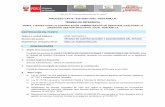 PROCESO CAS N° 036-2020-UGEL-VENTANILLA · SEACE V3.0. Habilidades o Competencias Análisis, Coordinación, Responsabilidad, Iniciativa, Organización de Información, Trabajo en