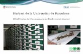 Herbari de la Universitat de Barcelonadiposit.ub.edu/dspace/bitstream/2445/134582/1/CeDocBiV... · 2019-06-12 · Herbari: col·lecció de plantes preservades de manera perdurable.