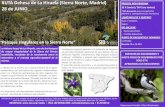 RUTA Dehesa de La Hiruela (Sierra Norte, Madrid) RUTA ... … · La dehesa de La Hiruela, es un enclave dentro de la región mediterránea con pervivencia de especies mediterráneas