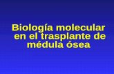 Biología molecular en el trasplante depatologiaclinicamexicana.org.mx/minisite/merida/... · Biología molecular (microsatélites) para demostrar que las células leucémicas son