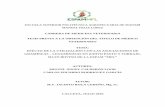 ESCUELA SUPERIOR POLITÉCNICA AGROPECUARIA DE MANABÍ …repositorio.espam.edu.ec/bitstream/42000/278/1/TMV101.pdf · 2.5 PLANTAS FORRAJERAS A SUELOS ÁCIDOS DE BAJA FERTILIDAD ...