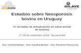 Estudios sobre Neosporosis bovina en Uruguayºblicos/INIA Tacuarembó...Histopatología, IHQ, IFI, ELISA ... (Piaggio, J. Tesis de Maestría, 2006) Materiales y Métodos • Necropsia