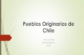 Pueblos Originarios de Chile - WordPress.com · 1.-Pueblos Originarios Chilenos. ... Son los pueblos nómadas y terrestres del extremo sur de Chile. Se dedicaron a la caza (ñandús