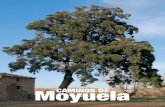 Moyuela CAMINOS DE - Casa Rural “EL TRENcasaruraleltren.es/wp-content/uploads/2014/04/... · blicación que presenta la Asociación Cultural Arbir Malena en su 25 Aniversario. «Caminos