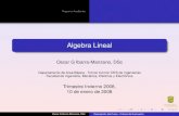 Programa Academico´...Sistemas de ecuaciones lineales y matrices Determinantes Vectores en R2 y R3 Espacios vectoriales Transformaciones lineales Eigenvalores, eigenvectores y formas