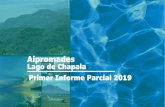 Aipromades Lago de Chapala Primer Informe Parcial 2019aipromades.org/wp-content/uploads/2019/08/1ER-INFORME-PARCIA… · Este Primer Informe Parcial 2019 deriva de nuestro Programa