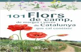 Flors - cossetania.com · Flors de camp de Catalunya Aquesta guia il·lustra una tria molt representativa de flors de camp, de vora i de marge —ruderals i arvenses—, de Catalunya.