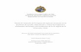 Proyecto de Título. Isabel Rojas Viada · 2019-05-21 · Proyecto de Título presentado como parte de los requisitos para optar al título de Ingeniero Forestal Isabel Margarita