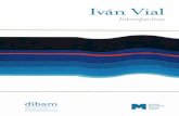 Iván Vial - Inicio · 2016-01-25 · 6 Ivá ia Introspectiva La exposición de Iván Vial, Introspectiva: Arte, Batalla y Memoria, exhibida en la sala Matta del Museo Nacional de