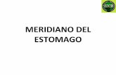 MERIDIANO DEL ESTOMAGO · 2014-06-10 · MERIDIANO DEL ESTOMAGO Rige el transporte y el descenso de lo impuro hacia el Intestino delgado, mientras que el bazo rige el ascenso y el