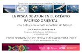 LA PESCA DE ATÚN EN EL OCÉANO PACÍFICO ORIENTAL · 2018-08-09 · • La población de atún aleta azul está sobreexplotada, hay un plan de recuperación Pesquerías sostenibles