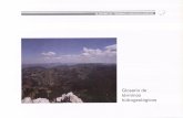 IGME. Instituto Geológico y Minero de España. Web …aguas.igme.es/igme/publica/libro76/pdf/lib76/in_09.pdfDARCY (Ley de): Ley que establece la proporcionalidad existente entre el