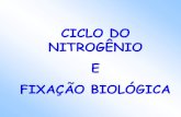 CICLO DO NITROGÊNIO E FIXAÇÃO BIOLÓGICA · 2016-11-09 · 5 - Fixação Biológica do Nitrogênio Processo mais importante de entrada de N no seu ciclo biogeoquímico (90%) Certas
